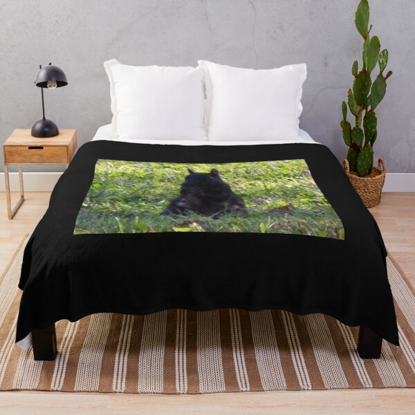 Item preview, Black squirrel sitting up on the grass designed and sold by AlicesArtistry.