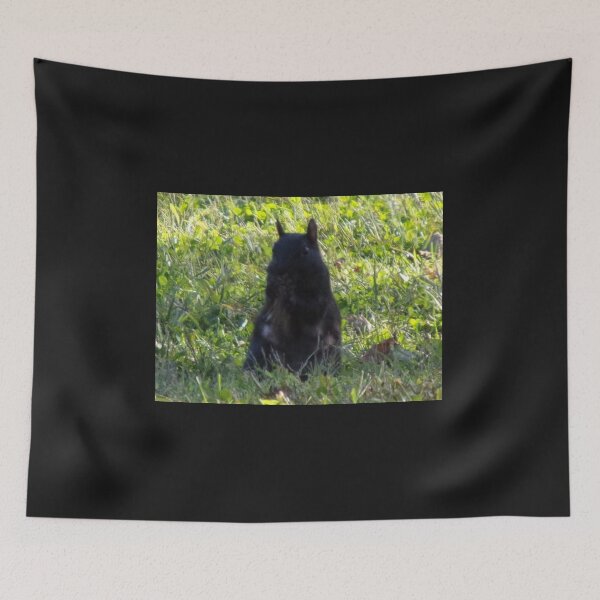 Item preview, Black squirrel sitting up on the grass designed and sold by AlicesArtistry.
