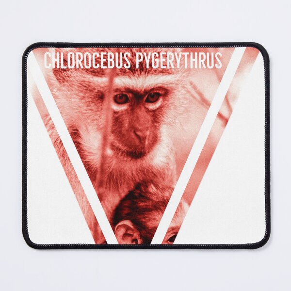 Item preview, Vervet Monkey Travel Sticker designed and sold by JerryFrank.