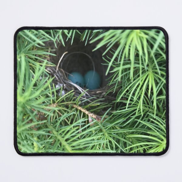 Item preview, In the Nest designed and sold by GrungeSilver.