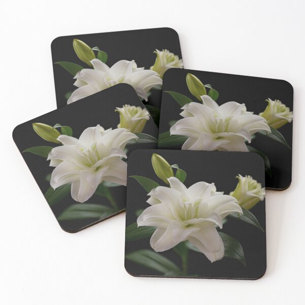 Item preview, Lirio estrella, blanco designed and sold by Dennis Sands Photography.
