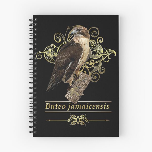 Item preview, Red-tailed hawk designed and sold by obscurite.