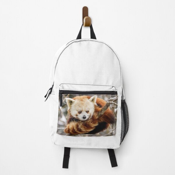 Item preview, Red Panda Photograph | I Love Pandas | Panda Bear designed and sold by WeAreGrotesque.