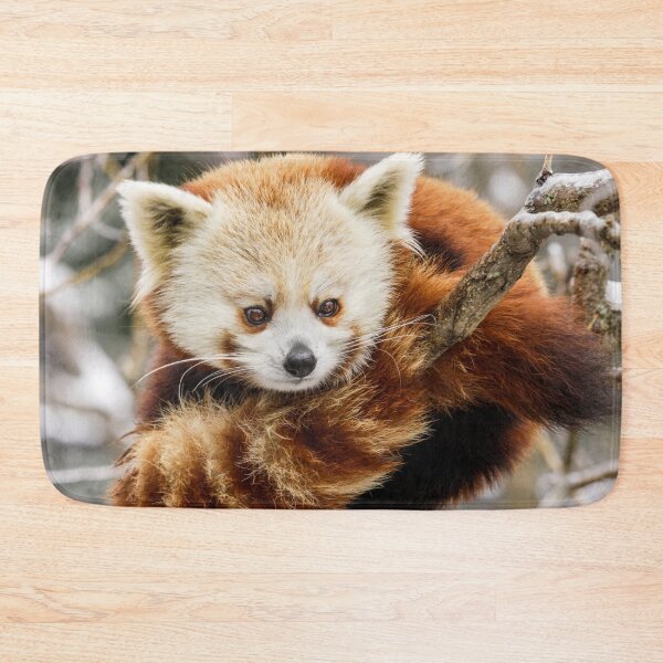 Item preview, Red Panda Photograph | I Love Pandas | Panda Bear designed and sold by WeAreGrotesque.