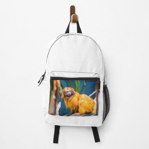 Item preview, Golden Lion Tamarin Photograph | I Love Monkeys | Golden Compass designed and sold by WeAreGrotesque.
