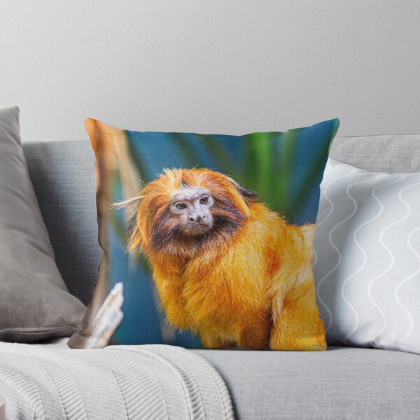 Artikelvorschau, Goldener Löwe Tamarin Foto | Ich liebe Affen | goldener Kompass entworfen und verkauft von WeAreGrotesque.