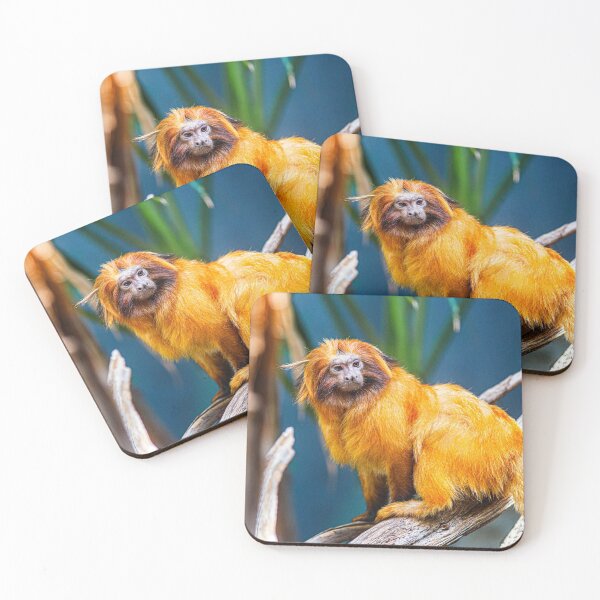 Item preview, Golden Lion Tamarin Photograph | I Love Monkeys | Golden Compass designed and sold by WeAreGrotesque.