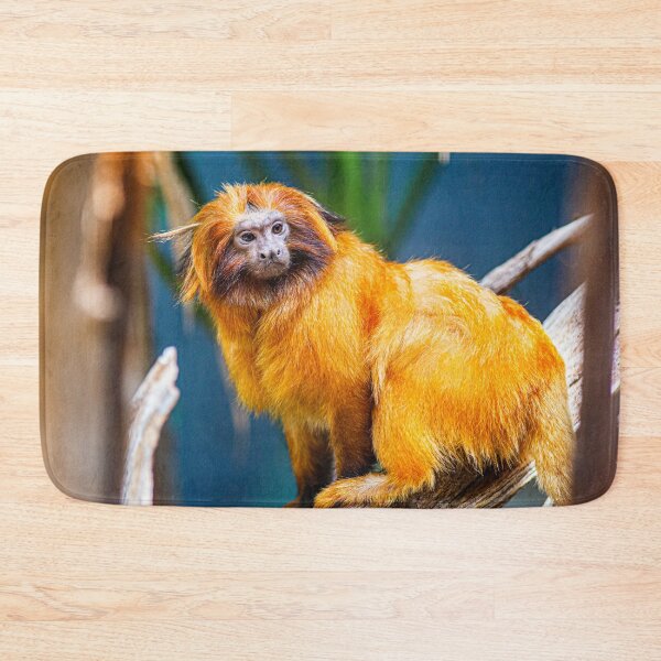 Item preview, Golden Lion Tamarin Photograph | I Love Monkeys | Golden Compass designed and sold by WeAreGrotesque.