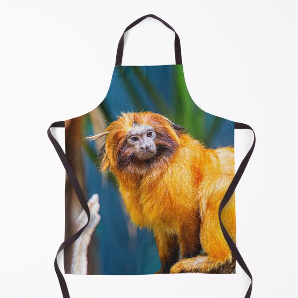 Item preview, Golden Lion Tamarin Photograph | I Love Monkeys | Golden Compass designed and sold by WeAreGrotesque.