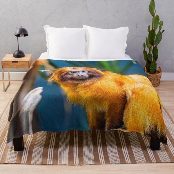 Artikelvorschau, Goldener Löwe Tamarin Foto | Ich liebe Affen | goldener Kompass entworfen und verkauft von WeAreGrotesque.