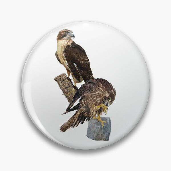 Item preview, Peregrine Falcon and Redstart Hawk designed and sold by obscurite.
