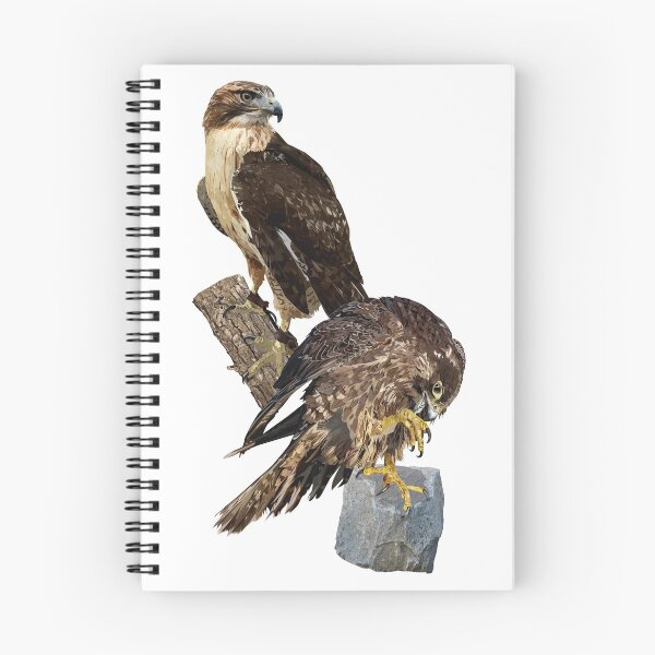 Item preview, Peregrine Falcon and Redstart Hawk designed and sold by obscurite.