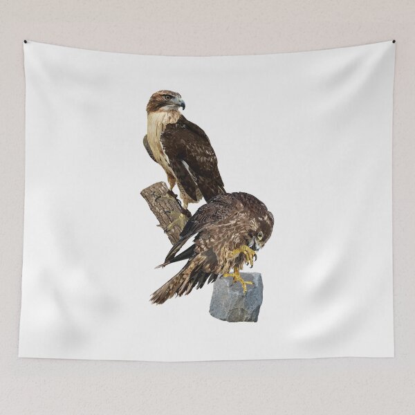 Item preview, Peregrine Falcon and Redstart Hawk designed and sold by obscurite.