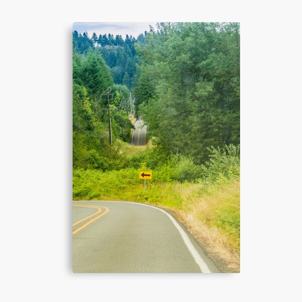 What happened to the Road? Metal Print