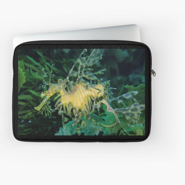 Leafy Seadragon Laptop Sleeve