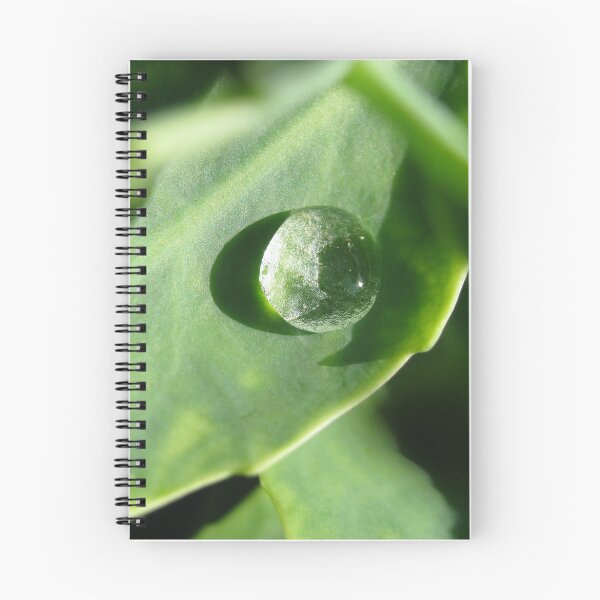 Item preview, Raindrop designed and sold by bluefrog.