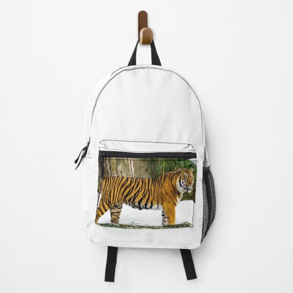 Item preview, Tiger Photograph | I Love Tigers | Shere Khan designed and sold by WeAreGrotesque.