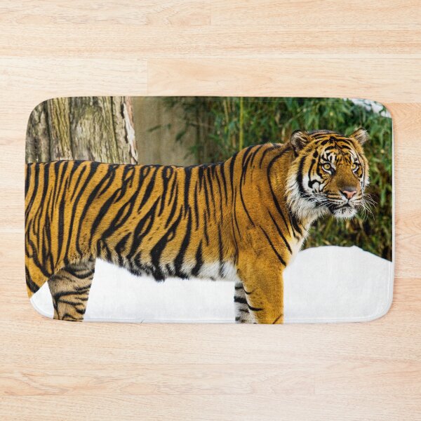 Item preview, Tiger Photograph | I Love Tigers | Shere Khan designed and sold by WeAreGrotesque.