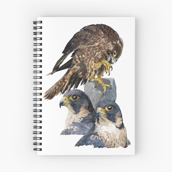 Item preview, Peregrine falcon designed and sold by obscurite.