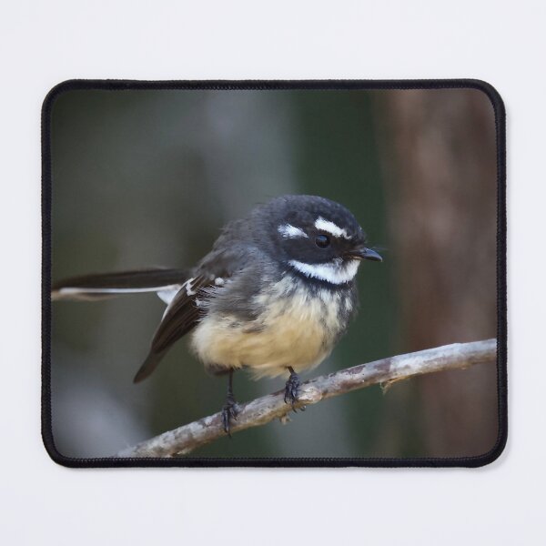 Item preview, Grey Fantail  designed and sold by MargsNaturePix.