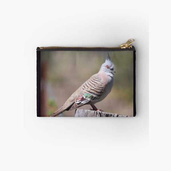 Item preview, Crested pigeon  designed and sold by MargsNaturePix.