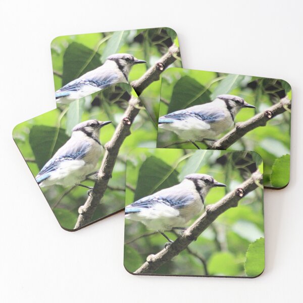 Item preview, BLUE PLUMAGE designed and sold by BOLLA67.