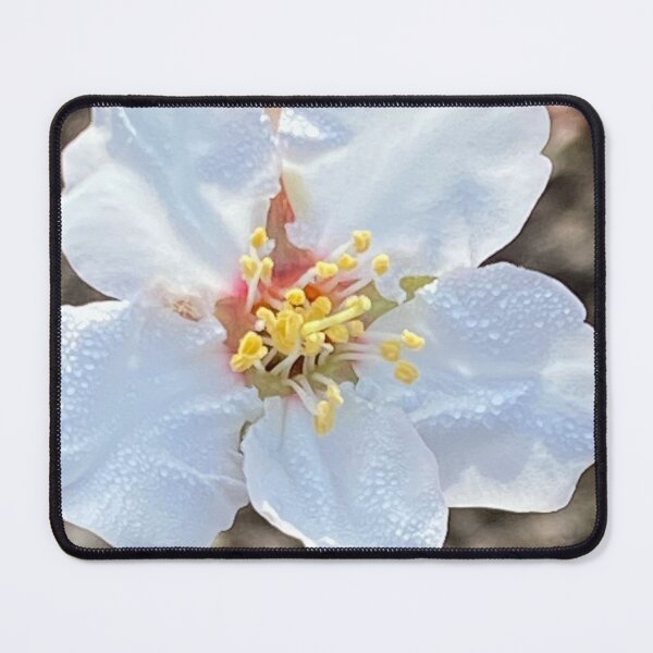 Item preview, Hey Blossom designed and sold by JenGo Creative.