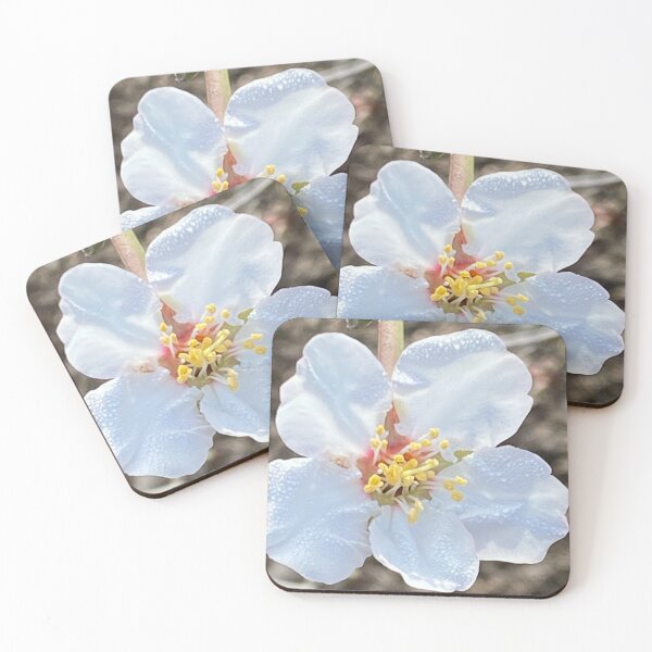 Item preview, Hey Blossom designed and sold by JenGo Creative.