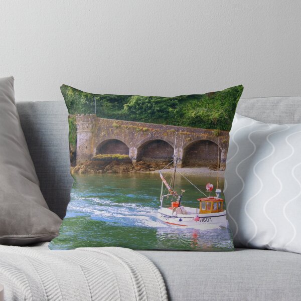 Item preview, Coming Home designed and sold by brimel55.