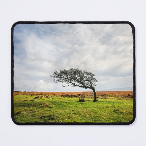 Item preview, Windswept Tree designed and sold by Dave Hare Photography.