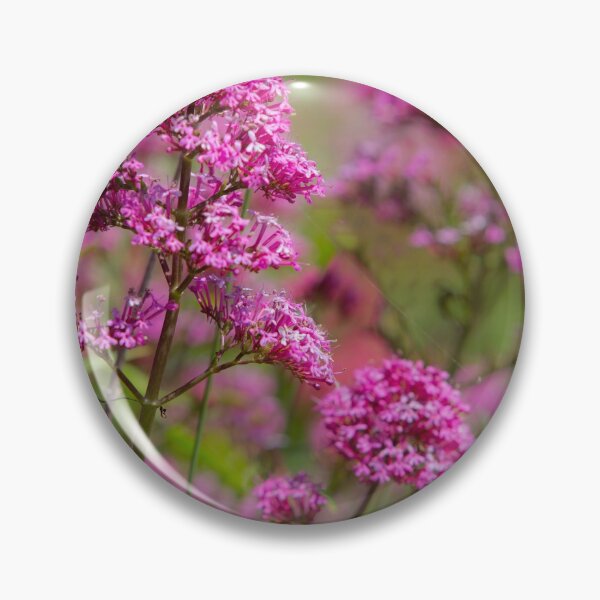 Item preview, Purple Blooms designed and sold by Dave Hare Photography.