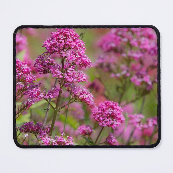 Item preview, Purple Blooms designed and sold by Dave Hare Photography.