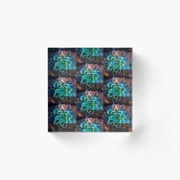 Aperçu de l'œuvre Néon Succulent créée et vendue par fiveacrefamily.