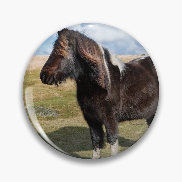 Item preview, Dartmoor Pony designed and sold by Dave Hare Photography.