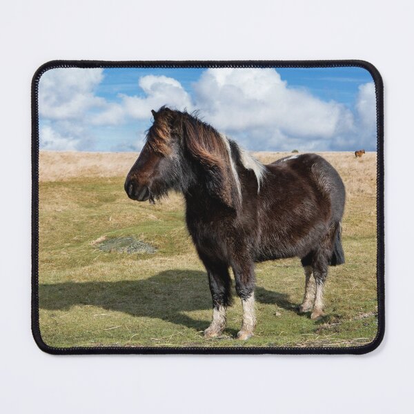 Item preview, Dartmoor Pony designed and sold by Dave Hare Photography.