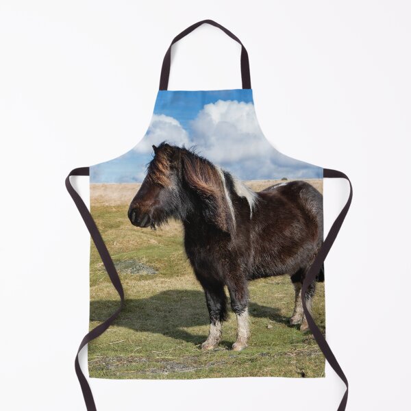 Item preview, Dartmoor Pony designed and sold by Dave Hare Photography.