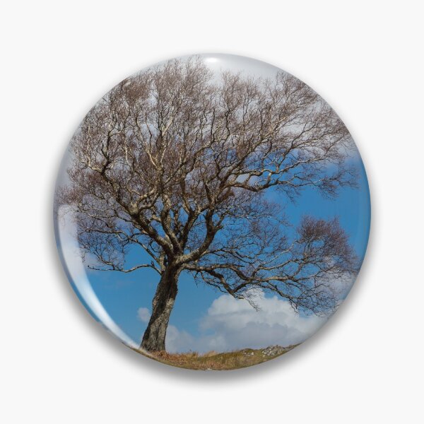 Item preview, A single tree, Dumfries and Galloway designed and sold by Dave Hare Photography.