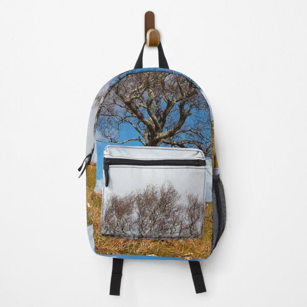 Item preview, A single tree, Dumfries and Galloway designed and sold by Dave Hare Photography.