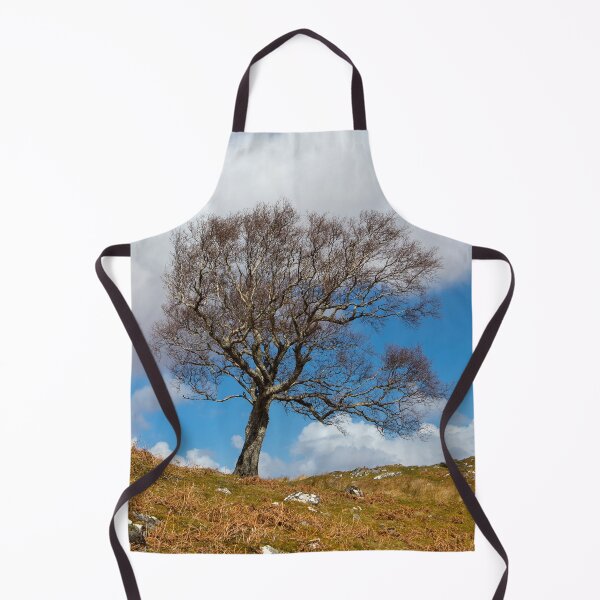 Item preview, A single tree, Dumfries and Galloway designed and sold by Dave Hare Photography.