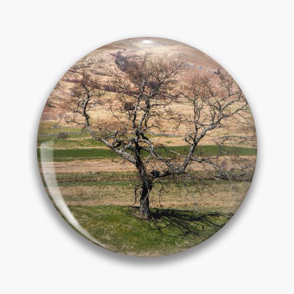 Item preview, Moorland Tree designed and sold by Dave Hare Photography.