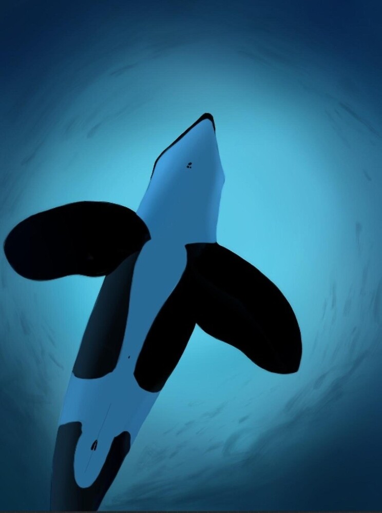 "Keiko the Orca" by orcaartist | Redbubble
