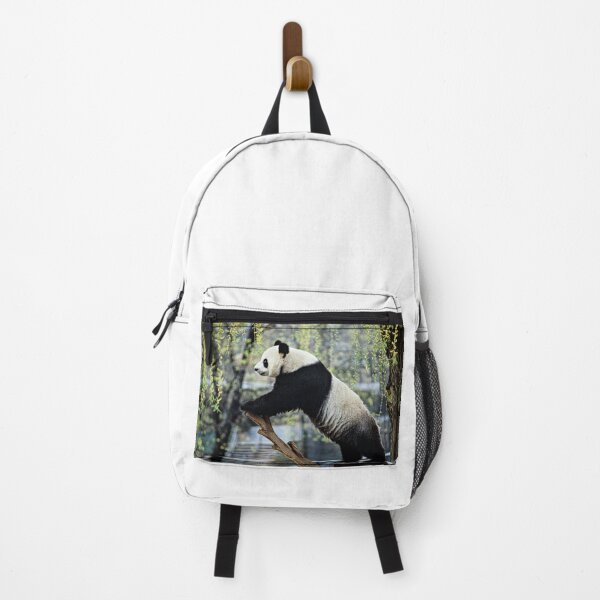 Item preview, Panda Photograph | I Love Pandas | Kung Fu Panda designed and sold by WeAreGrotesque.