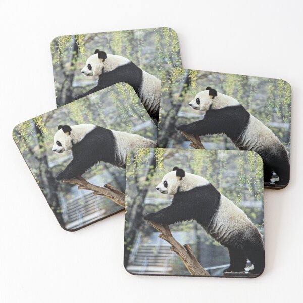 Item preview, Panda Photograph | I Love Pandas | Kung Fu Panda designed and sold by WeAreGrotesque.