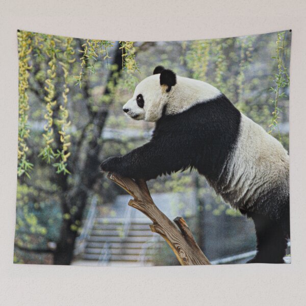 Item preview, Panda Photograph | I Love Pandas | Kung Fu Panda designed and sold by WeAreGrotesque.