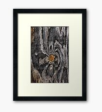 Wood knot .2 Framed Print
