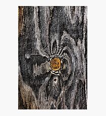 Wood knot .2 Photographic Print