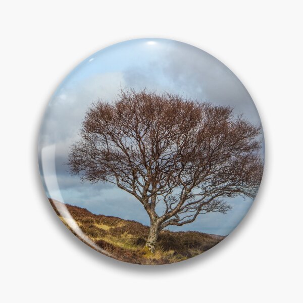 Item preview, Highland hillside tree designed and sold by Dave Hare Photography.