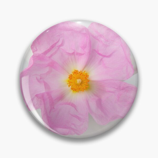 Item preview, Purple Bloom designed and sold by Dave Hare Photography.