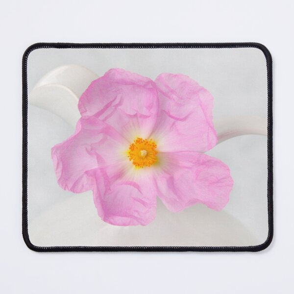 Item preview, Purple Bloom designed and sold by Dave Hare Photography.