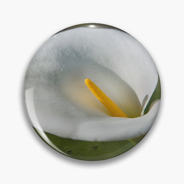 Item preview, White Lily designed and sold by Dave Hare Photography.